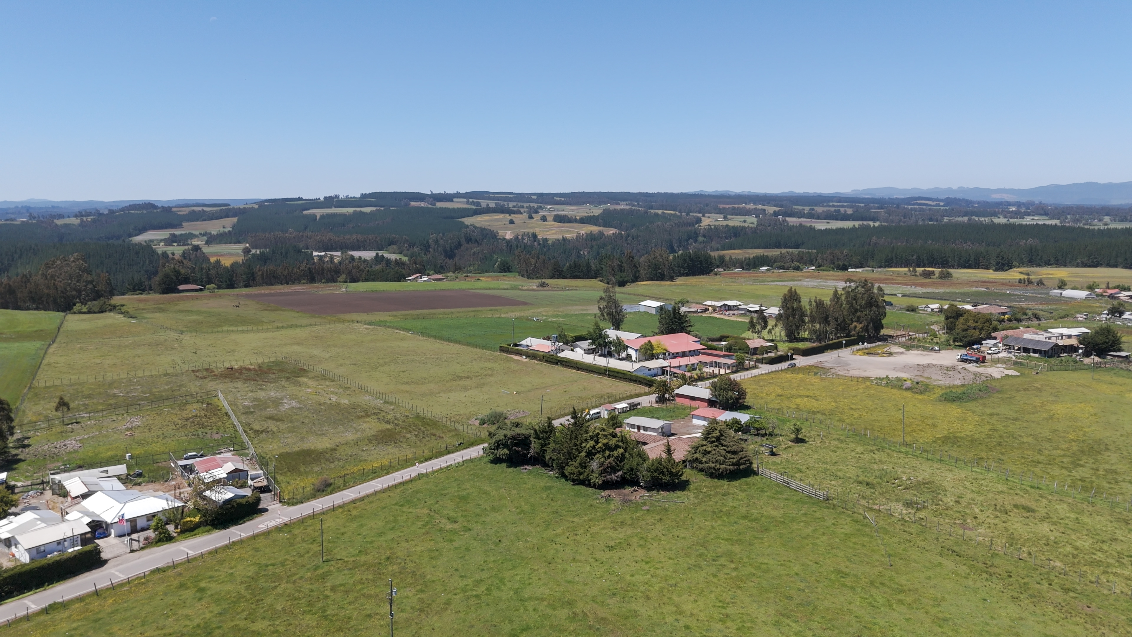 Imagen 4